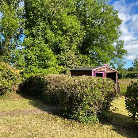 Dick Barry'S Cottage Ballyduff  Екстериор снимка